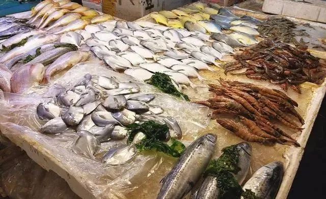 鲫鱼，曾经公认的淡水美味，为啥现在没人吃？看完原因感觉真不冤