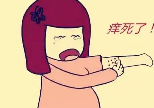 鲈鱼到底有何营养价值？医生：鲈鱼虽好，但这4种人或要少吃