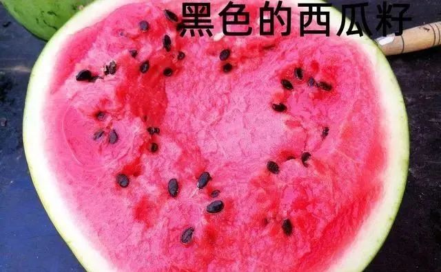 打了“激素”的西瓜怎样辨认？老瓜农：看准这4点，再买错不了