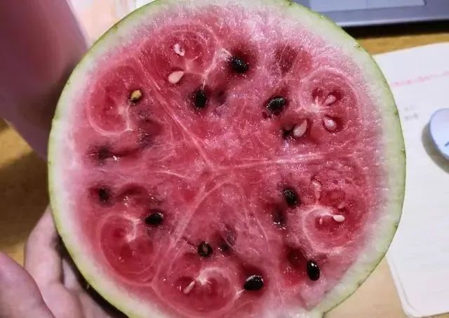 打了“激素”的西瓜怎样辨认？老瓜农：看准这4点，再买错不了
