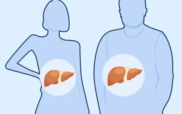 鸡蛋可以修复肝脏？医生坦言：这5种食物对肝脏有益，可多吃