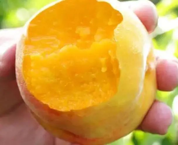夏天吃桃有好处，糖尿病人能吃吗？提醒：这4种或能放心吃