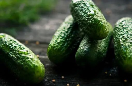 不能跟黄瓜一起吃的食物？提醒大家应该注意一下，不要不当回事