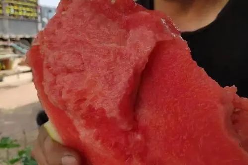 同样是西瓜，有籽和没籽有什么不一样？牢记区别，下次别再买错