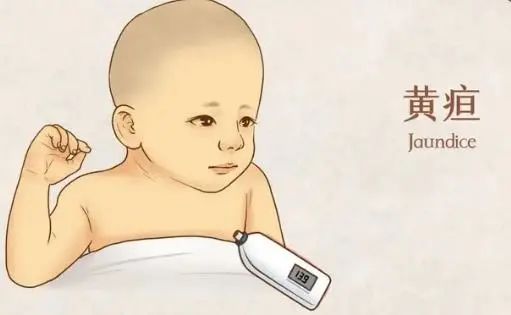 玉米，是肝病的主因吗？医生：夏季养肝，“4甜”建议少吃