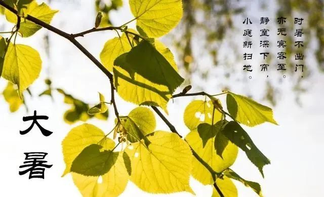 明日大暑，“大暑晒一宝，平安无烦恼”，一宝是啥？老传统不能丢