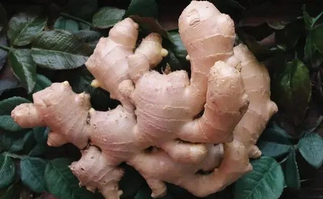 明日大暑，“大暑晒一宝，平安无烦恼”，一宝是啥？老传统不能丢