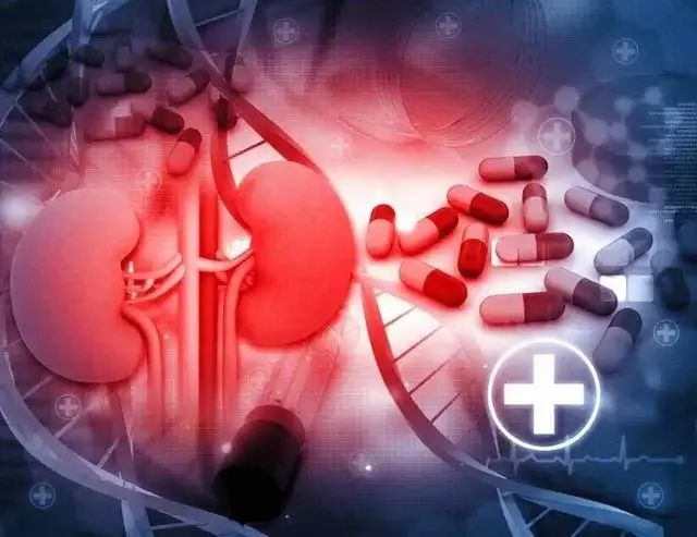喝水后多久排尿，暗示肾脏还算健康呢？答案很简单