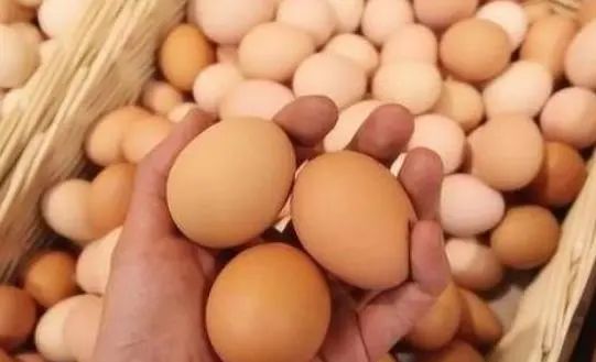 “鸡蛋”究竟能不能放冰箱？我们一直都做错了，看完涨知识了