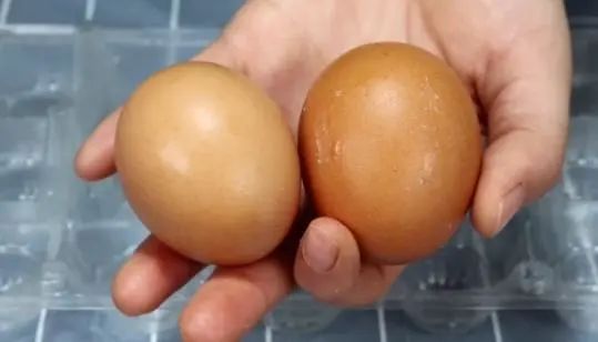 “鸡蛋”究竟能不能放冰箱？我们一直都做错了，看完涨知识了