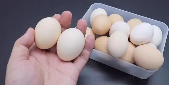 “鸡蛋”究竟能不能放冰箱？我们一直都做错了，看完涨知识了