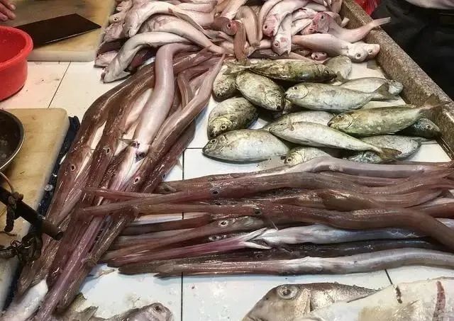 入伏后，遇到这5种鱼我从不讲价，可遇不可求！营养极高又美味