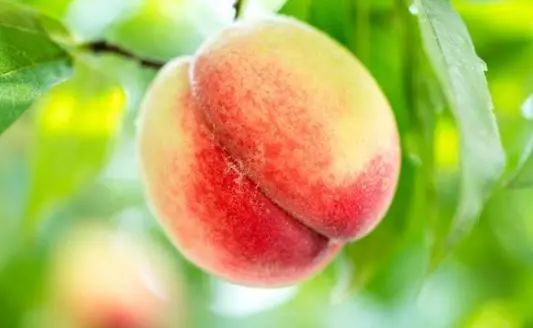 医生提醒：酒后若出现5个症状，或是“胰腺炎”，别不当回事