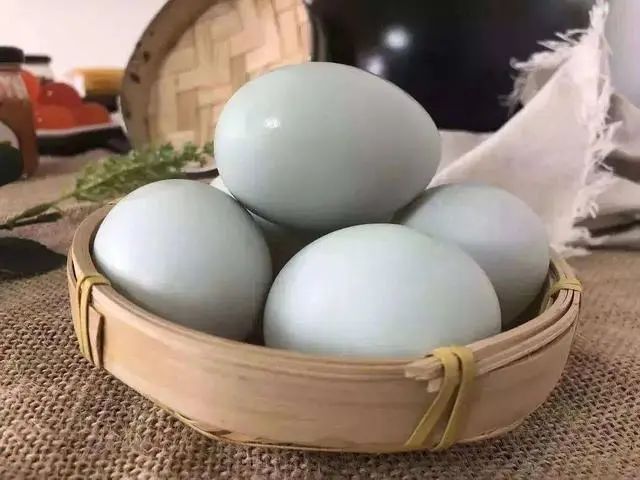 鸡蛋、鸭蛋、鹅蛋、鹌鹑蛋，哪个更有营养？医生：3种蛋建议少吃