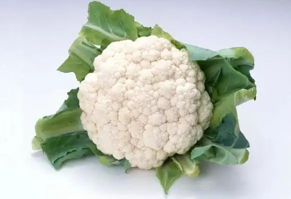 多走路可以降血脂吗？医生：多吃4种食物，或许比走路效果好