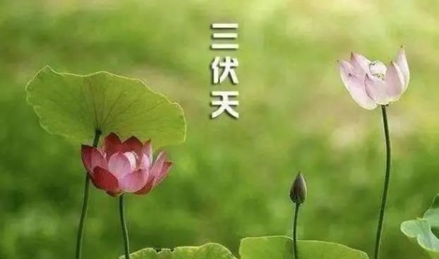 三伏天洗澡，尽量绕开4个时间段，否则湿气会“悄然到来”