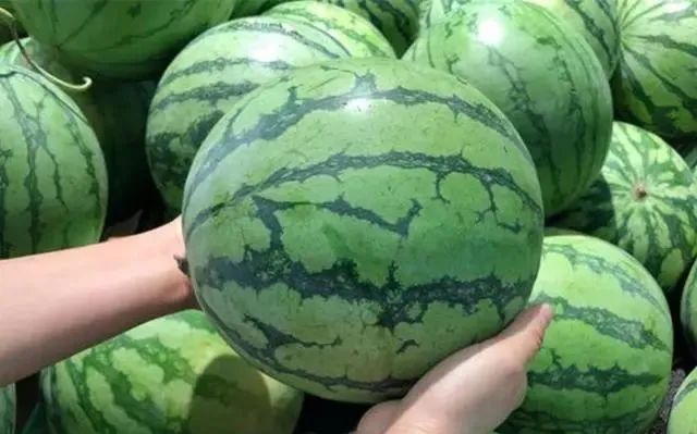买西瓜时：拍来拍去让人笑装懂，老瓜农教你3招，皮薄多汁还很甜