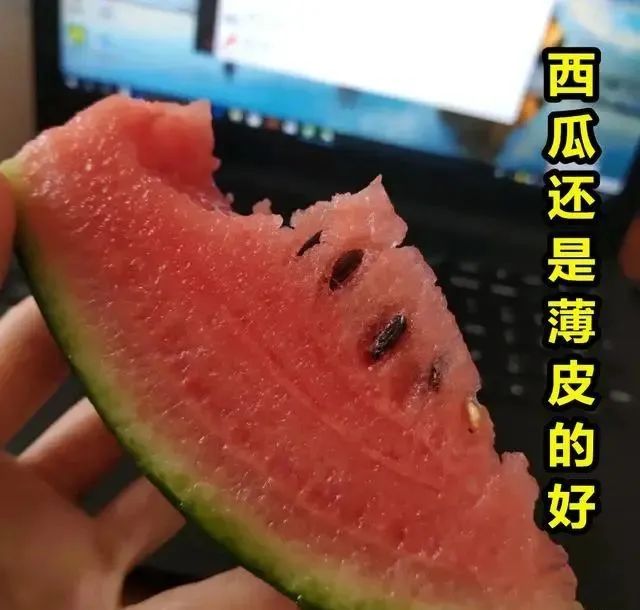 买西瓜时：拍来拍去让人笑装懂，老瓜农教你3招，皮薄多汁还很甜