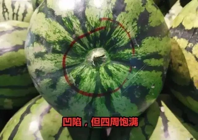 买西瓜时：拍来拍去让人笑装懂，老瓜农教你3招，皮薄多汁还很甜