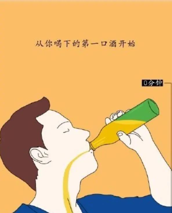 为什么要戒酒？喝酒后人体24小时的变化，看完你还继续喝酒吗？