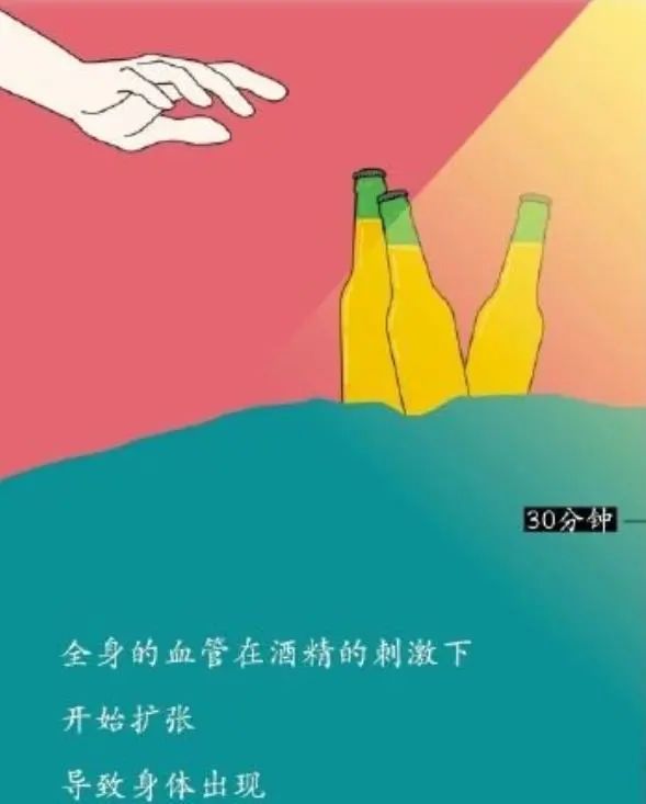 为什么要戒酒？喝酒后人体24小时的变化，看完你还继续喝酒吗？