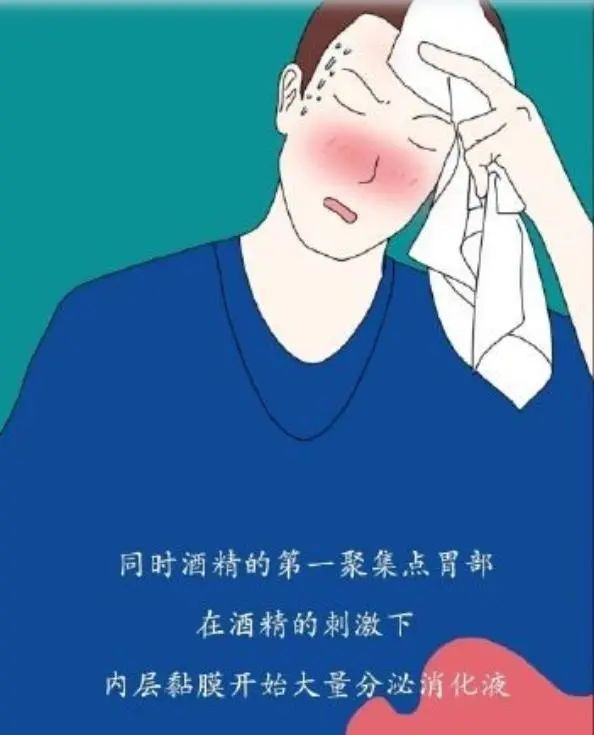 为什么要戒酒？喝酒后人体24小时的变化，看完你还继续喝酒吗？