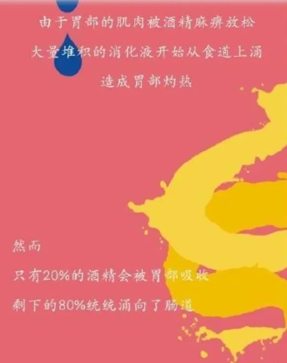 为什么要戒酒？喝酒后人体24小时的变化，看完你还继续喝酒吗？