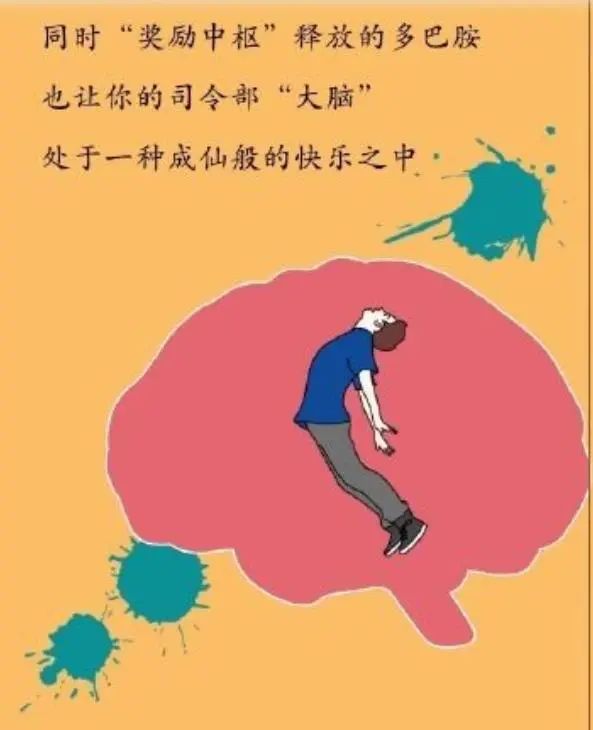 为什么要戒酒？喝酒后人体24小时的变化，看完你还继续喝酒吗？