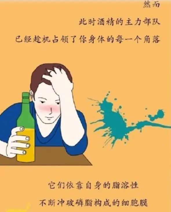 为什么要戒酒？喝酒后人体24小时的变化，看完你还继续喝酒吗？