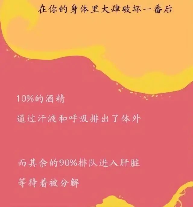 为什么要戒酒？喝酒后人体24小时的变化，看完你还继续喝酒吗？