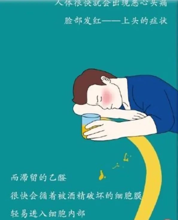 为什么要戒酒？喝酒后人体24小时的变化，看完你还继续喝酒吗？