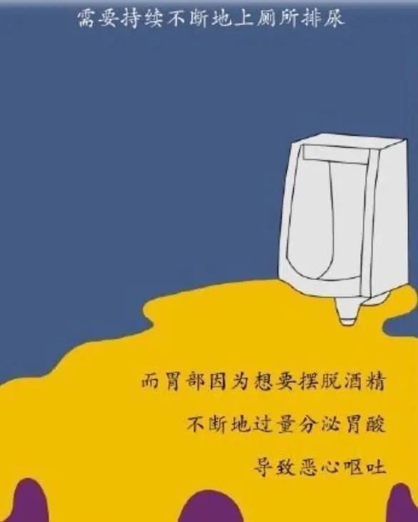 为什么要戒酒？喝酒后人体24小时的变化，看完你还继续喝酒吗？