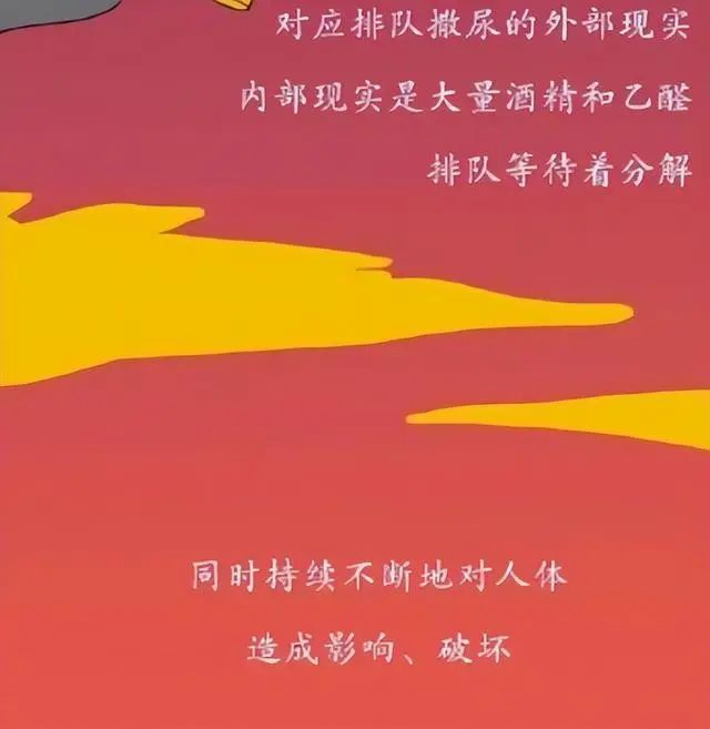 为什么要戒酒？喝酒后人体24小时的变化，看完你还继续喝酒吗？