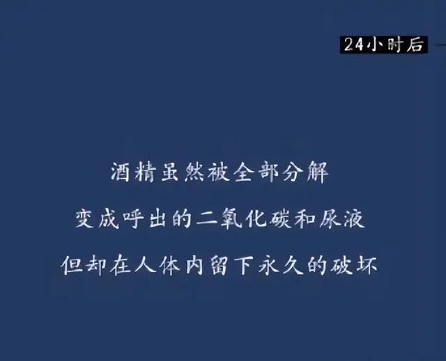 为什么要戒酒？喝酒后人体24小时的变化，看完你还继续喝酒吗？