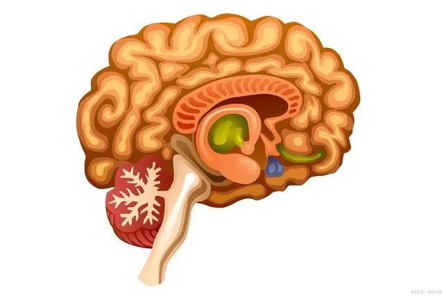 吃叶酸有助预防脑梗，每天需吃多少毫克？有一个范围