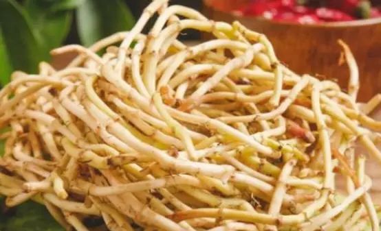 为什么说鱼腥草是“害人草”？吃鱼腥草，究竟是好还是坏呢？