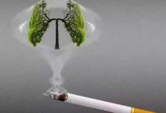 相比忍受化疗，癌症不治会怎么样？医生告诉您实话