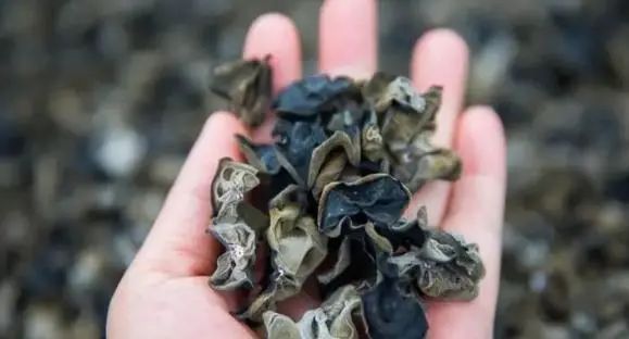 8种不宜常吃的蔬菜公开，南瓜排最后，榜首或许有不少人经常吃
