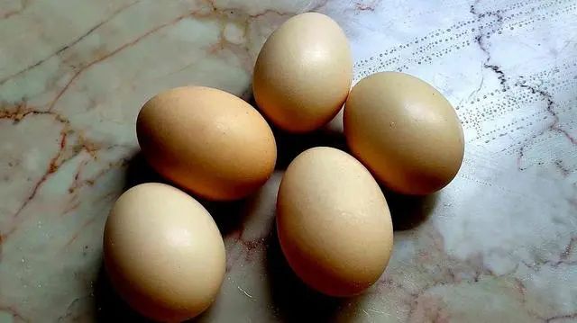 免疫力是身体的“保护罩”，想要免疫力强大，4物请别错过