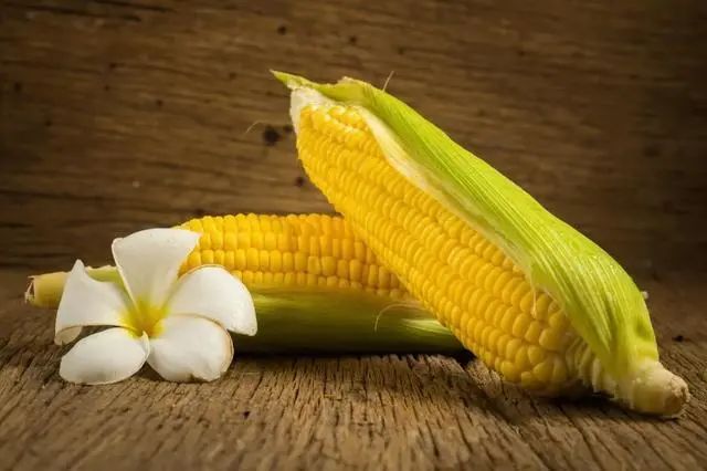 胃不好的人不能吃玉米？提醒：想要养护胃部，建议少吃3种水果