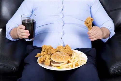 血管“清洁剂”被找到，海带没上榜，4种食物，或可吃点