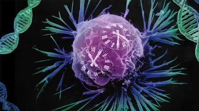 “柠檬”能杀死12种癌，有科学依据吗？看完涨知识了