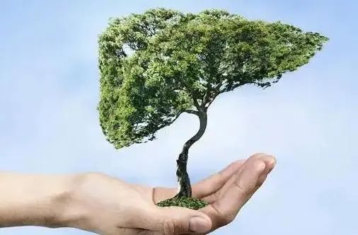 早上吃一个水煮鸡蛋，一段时间后会发生什么？建议：肝不好来看看