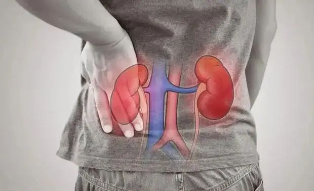早上吃一个水煮鸡蛋，一段时间后会发生什么？建议：肝不好来看看