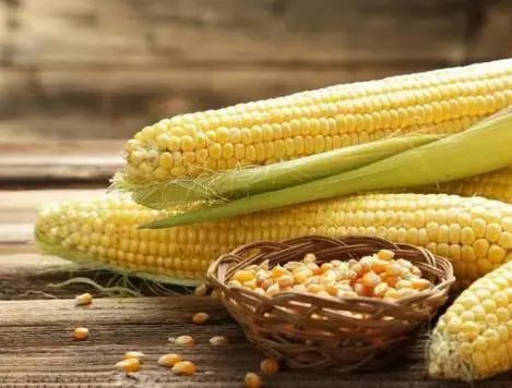 常吃玉米究竟有什么好处呢？这6类人尽量不要吃，别大意