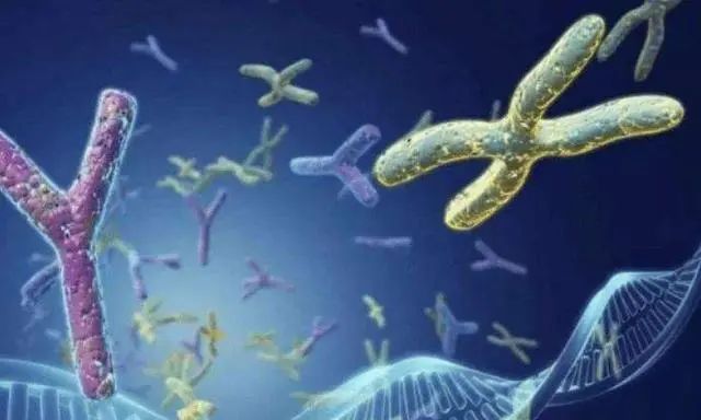 人类的寿命极限是多少岁？科学家给出了答案，你能接受吗？