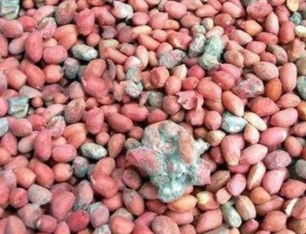 6种食物，不建议常放冰箱，或会滋生黄曲霉毒素，不妨了解一下