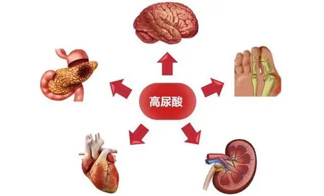 中老年人体检时，若这5个指标是正常的，或说明身体素质还不错