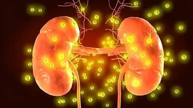 为何“尿毒症”逐渐增多呢？医生建议：少吃4物，肾会“感激”你