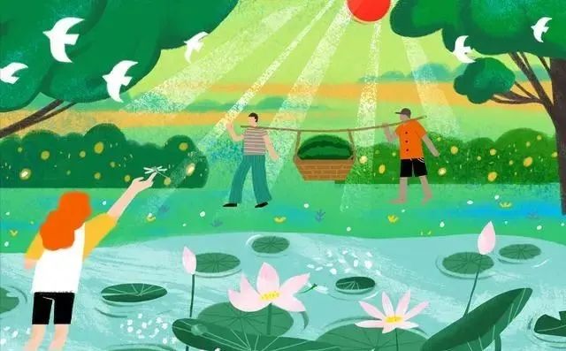明日夏至，老人讲“夏至一碗汤，不用医生帮”，一碗汤指的是啥？